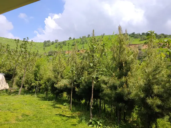 Oilaviy Dam Olish Maskani