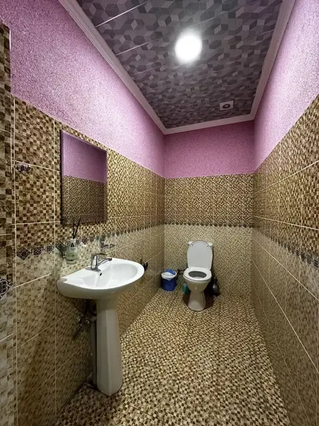 Dacha 707