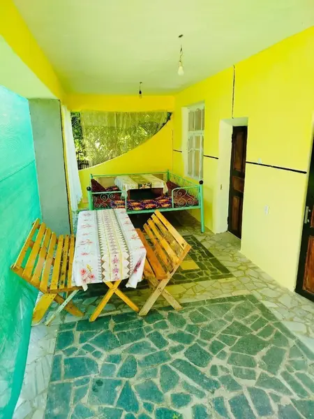 Dacha 484