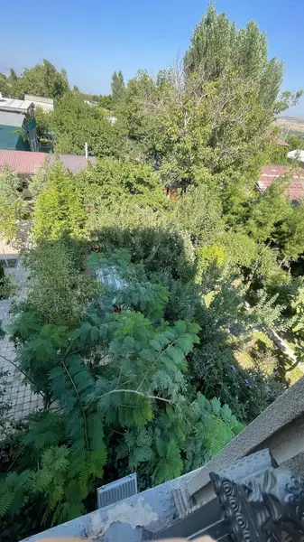 Triada Dacha