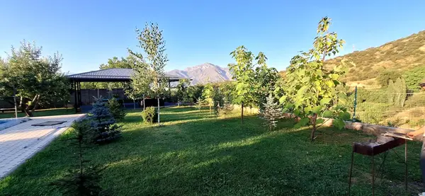 Manzara