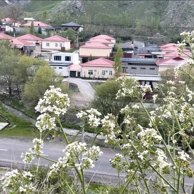 Bek_dacha