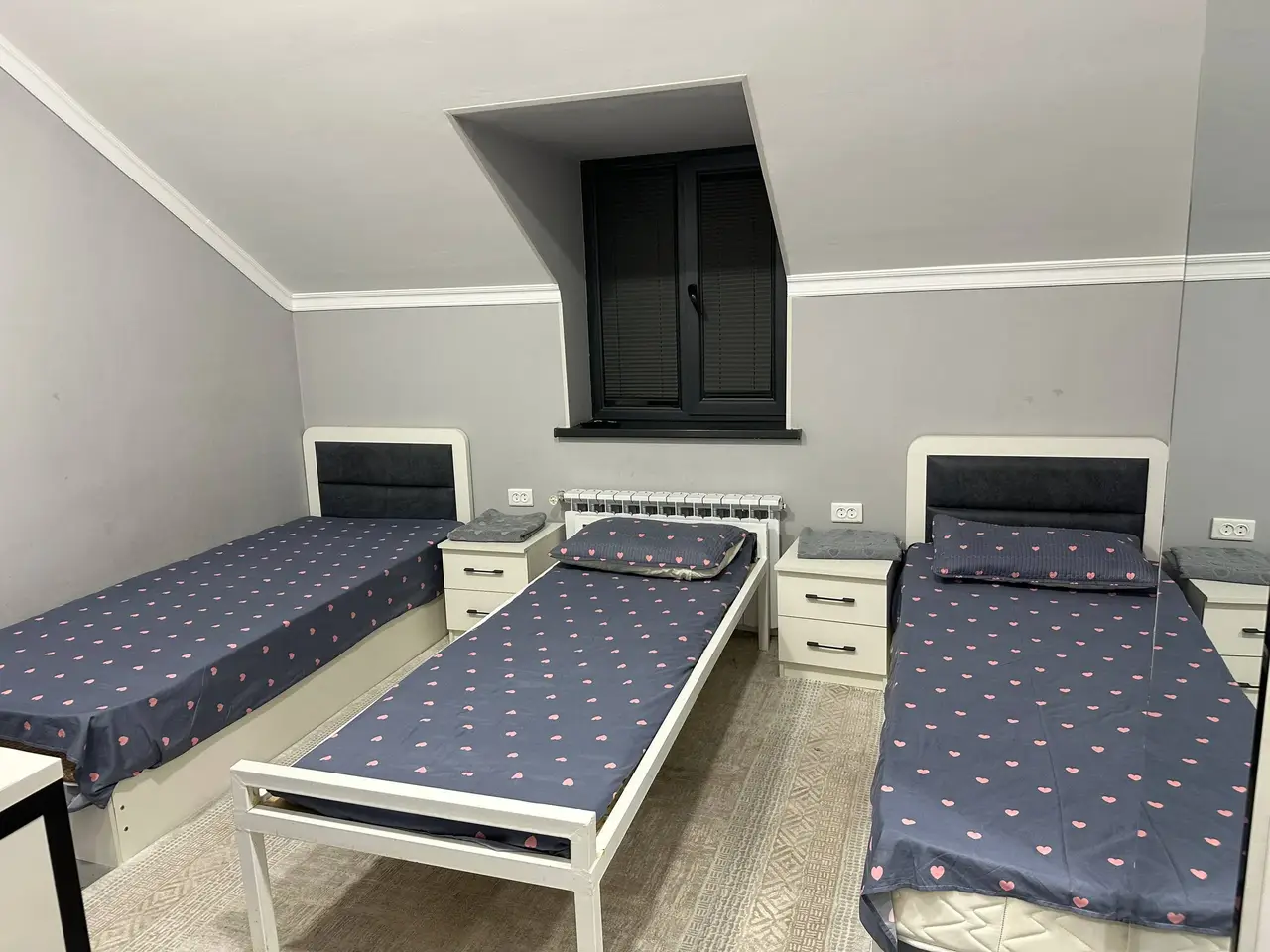 Zomin_osiyo_premium 3 Oddiy