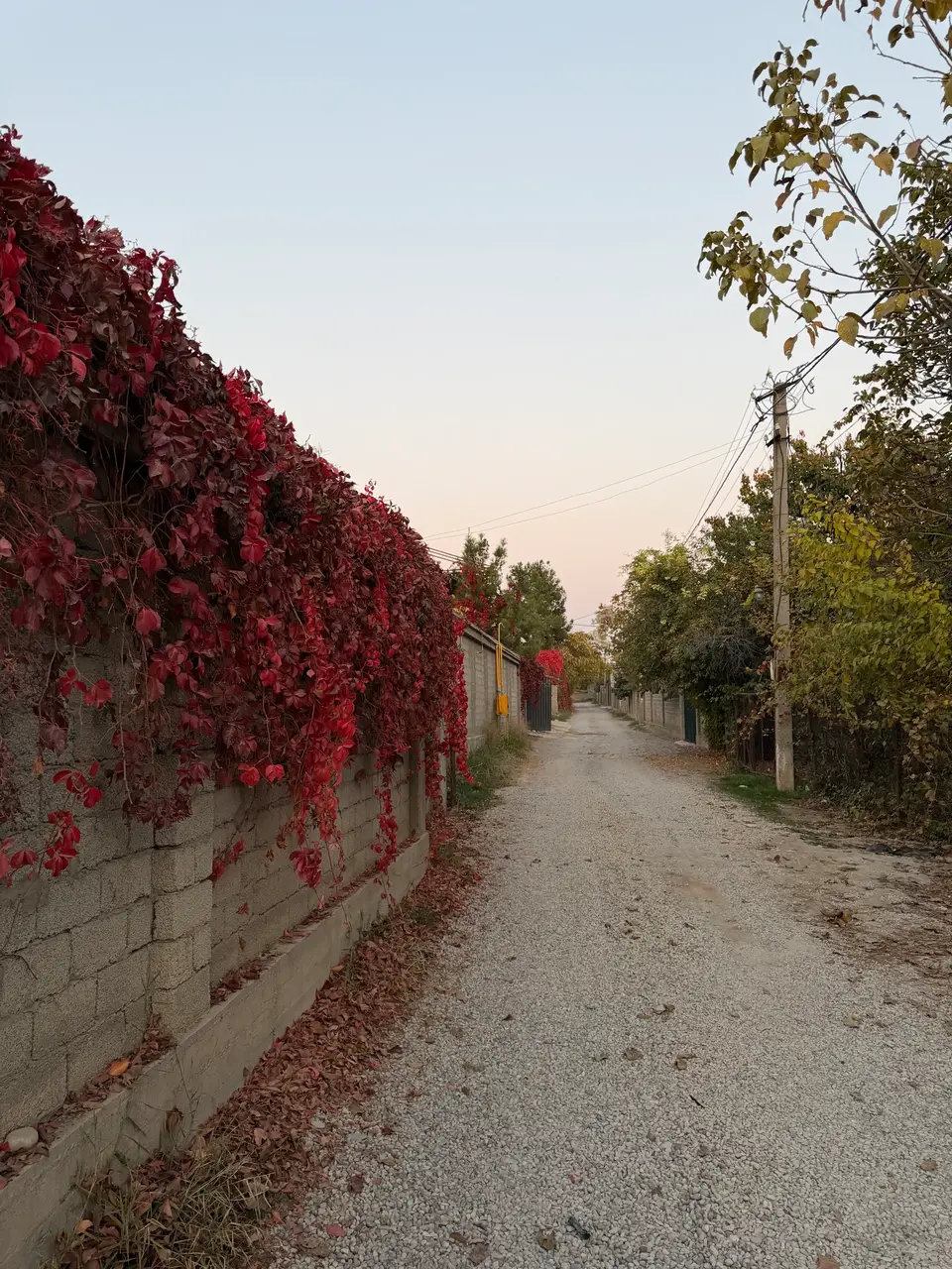 Garden.villages
