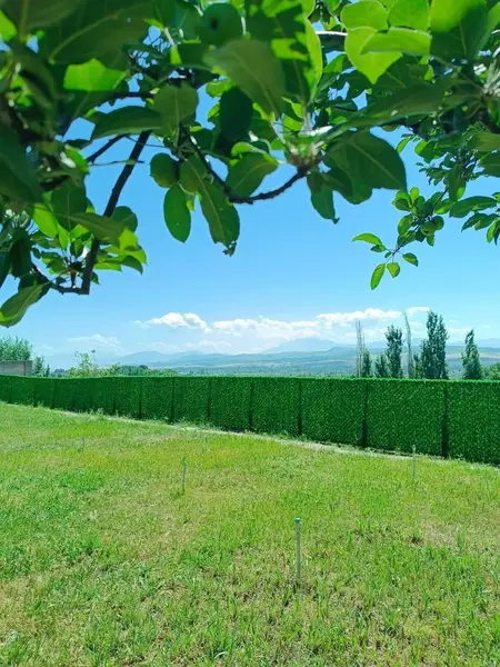 Archa Dacha