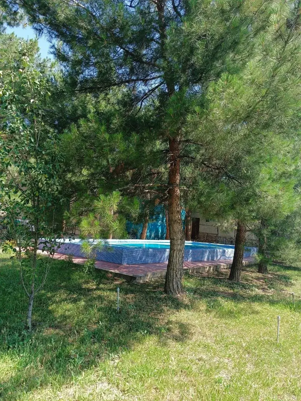 Archa Dacha