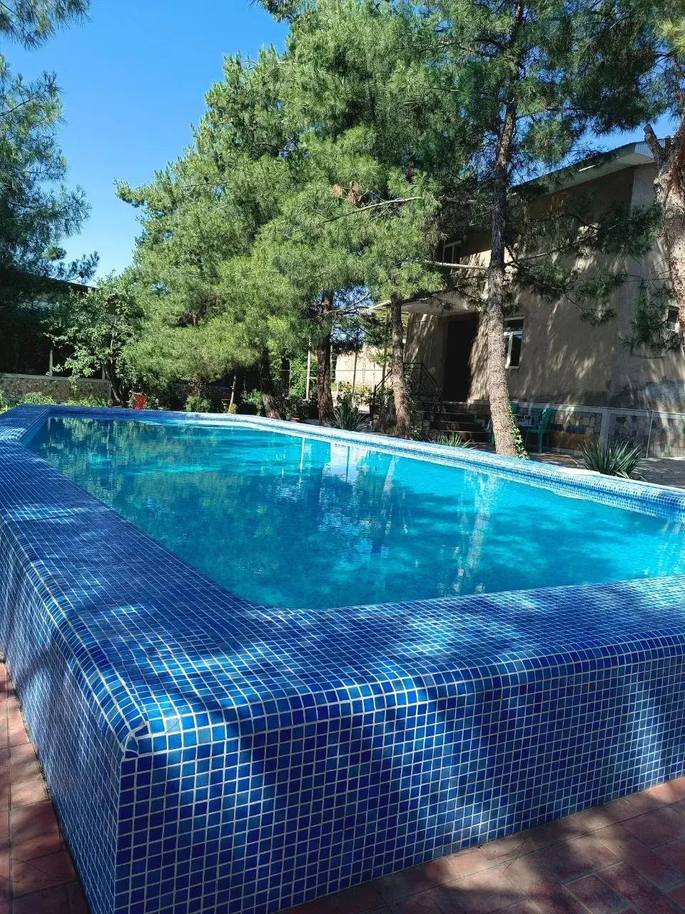 Archa Dacha