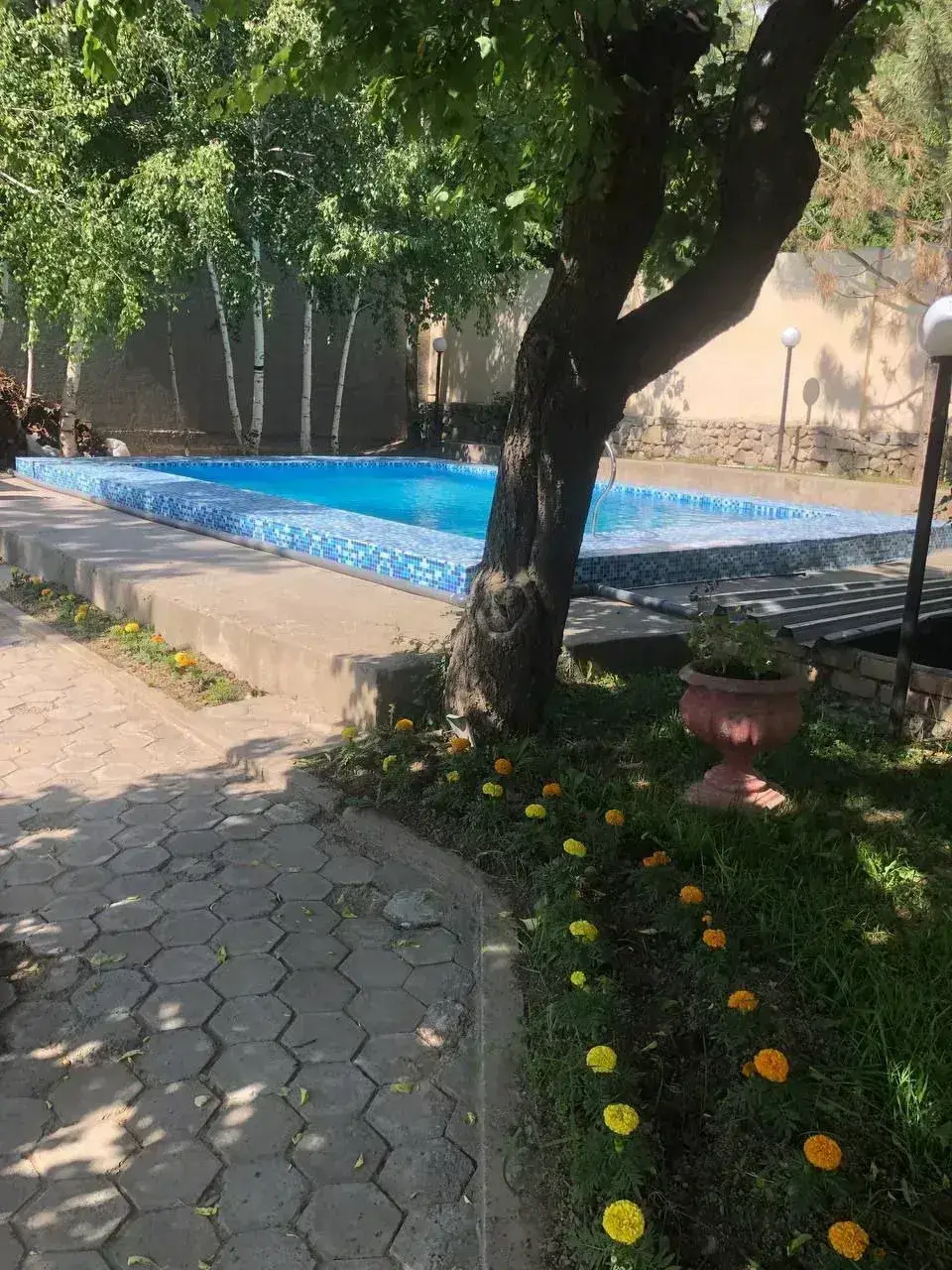Dacha Delfin Oilaviy