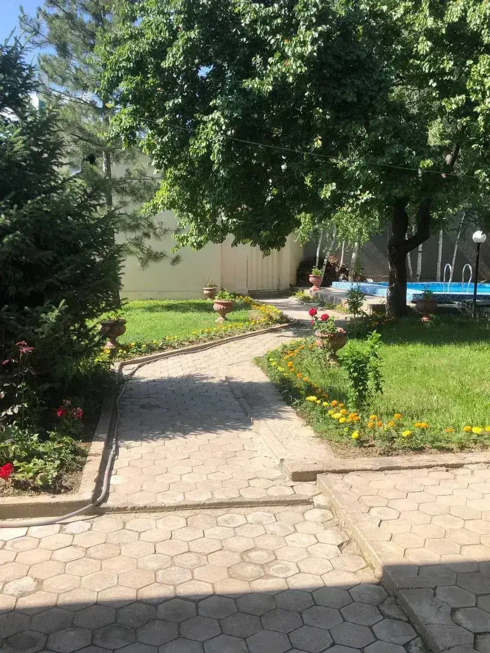 Dacha Delfin Oilaviy