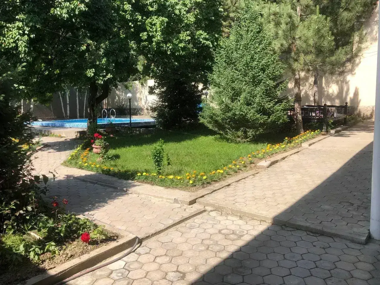 Dacha Delfin Oilaviy