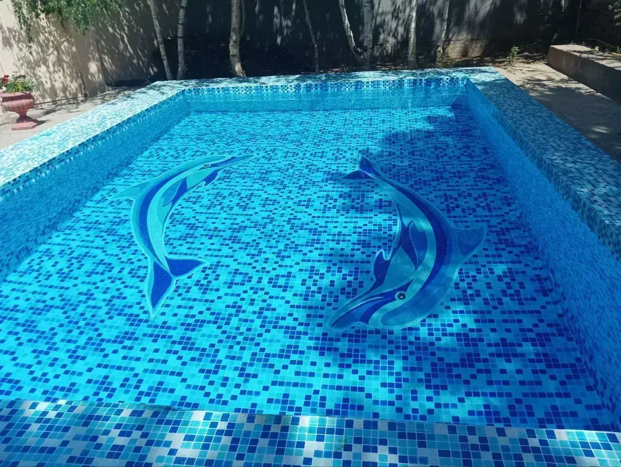Dacha Delfin Oilaviy