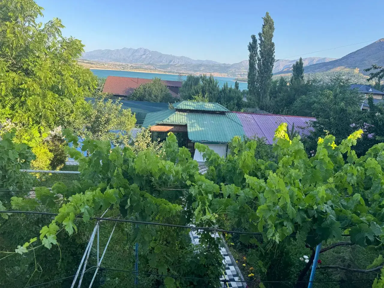 Meni uning eshagini opishga majbur qildi