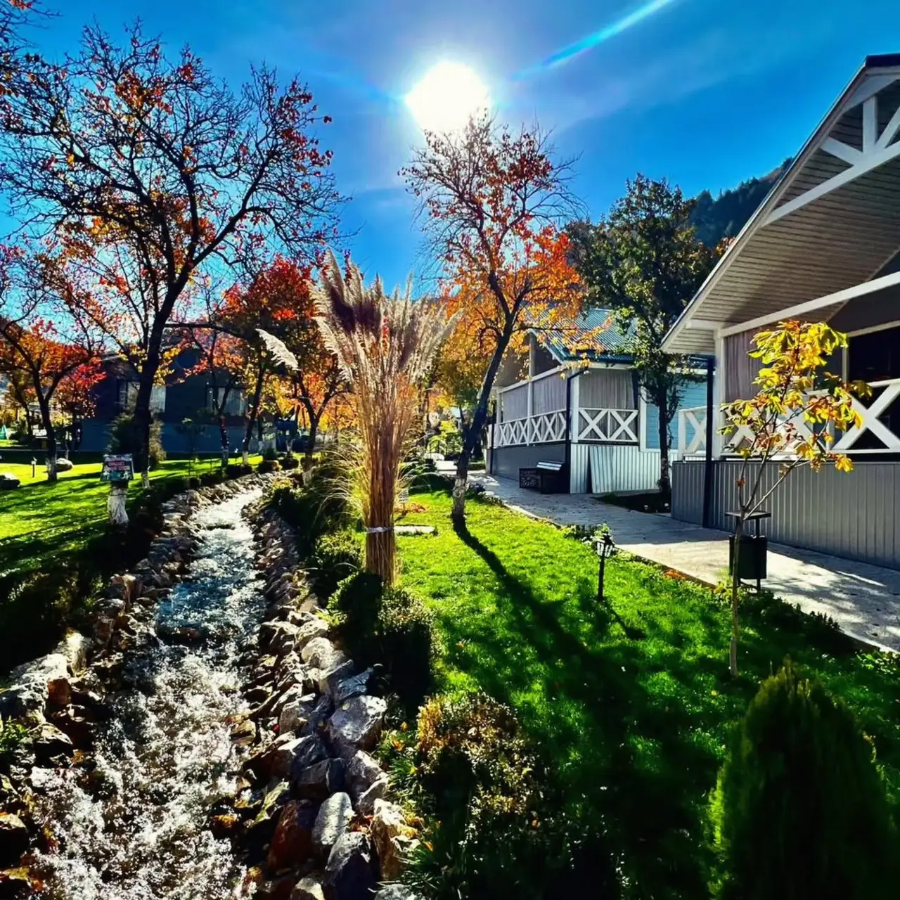 Zaamin Forest Resort