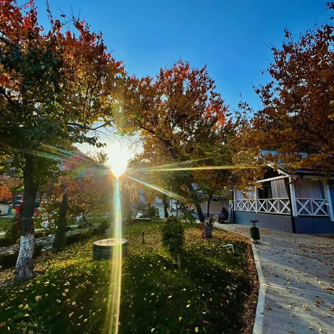 Zaamin Forest Resort