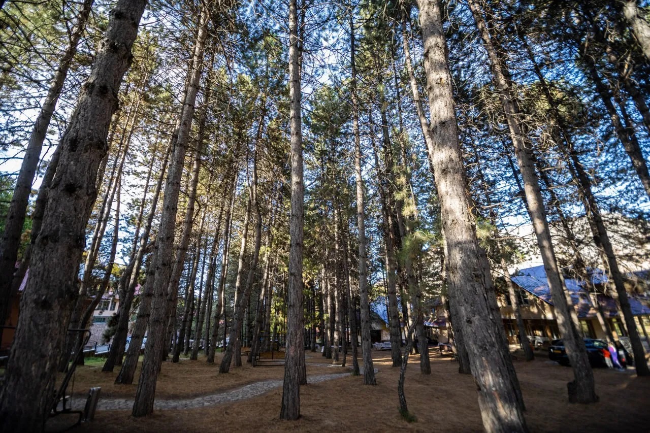 Archazor Mountain Resort