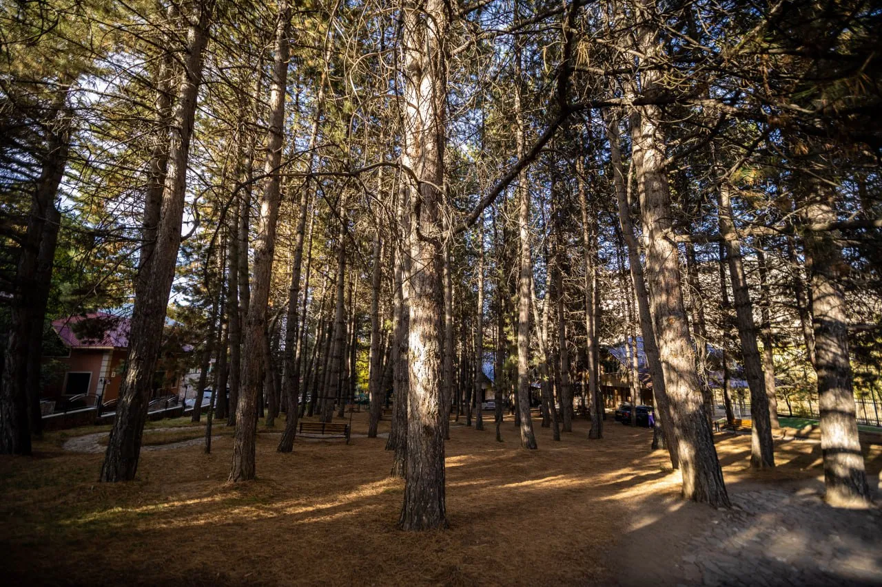 Archazor Mountain Resort