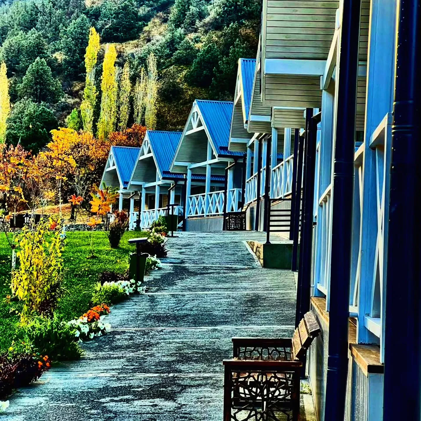 Zaamin Forest Resort