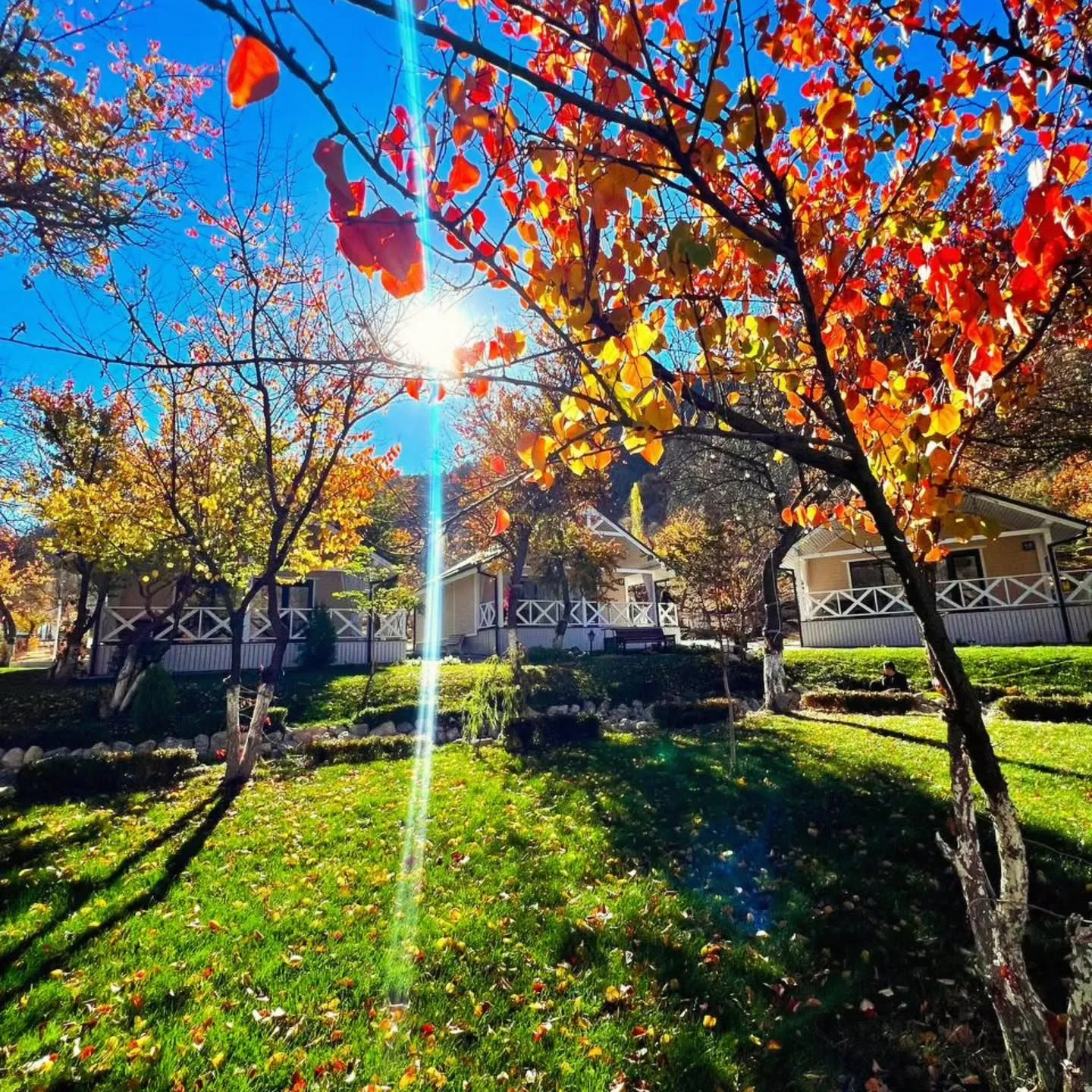 Zaamin Forest Resort