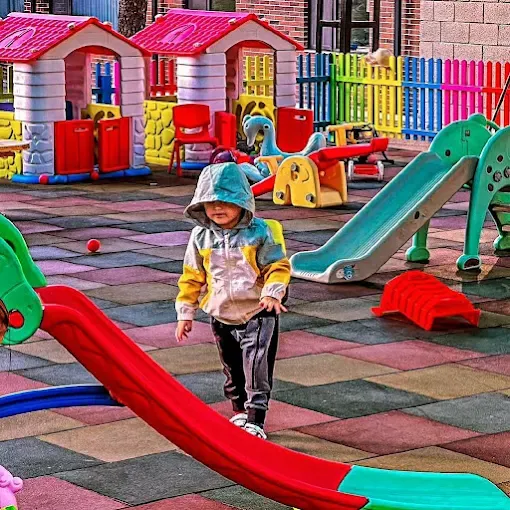 Zaamin Forest Resort